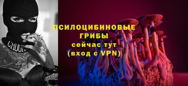 прущая мука Гусев