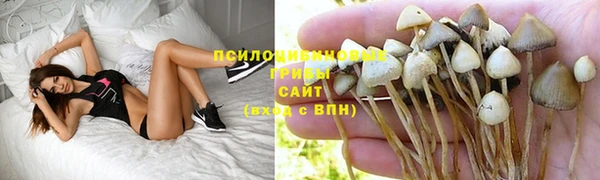 бутират Вуктыл