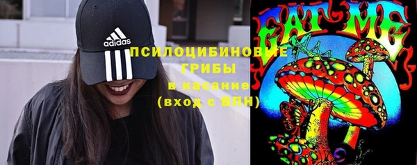 прущая мука Гусев